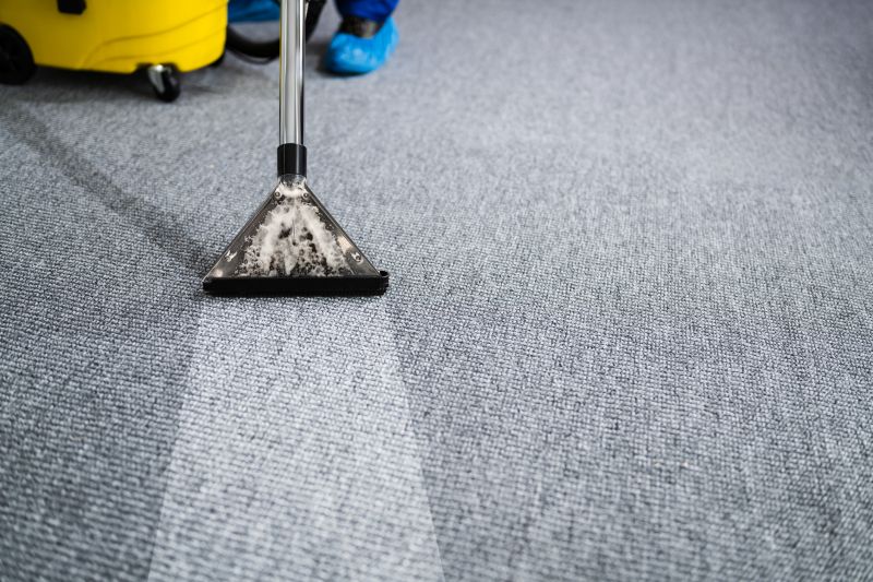 Carpet Sanitizing
