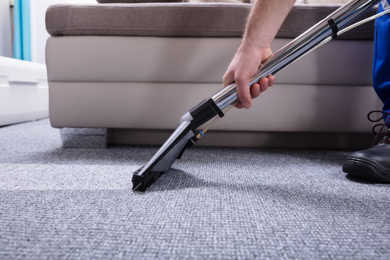 Carpet And Rug Cleaning For Homes With Pets