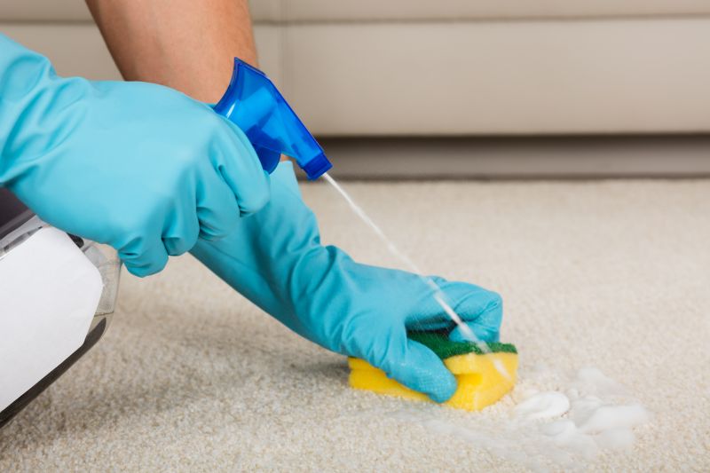 Carpet Sanitizing