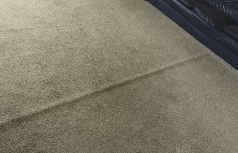 Carpet Smoothing in Alpharetta, GA