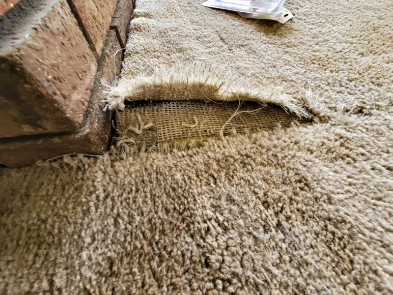 Commercial Carpet Repair in Overland Park, KS