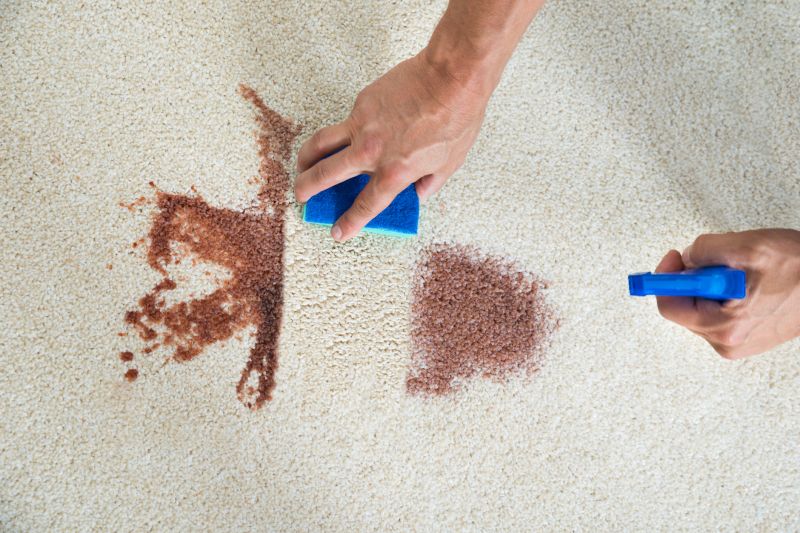 Common Carpet Stains And How Professionals Remove Them