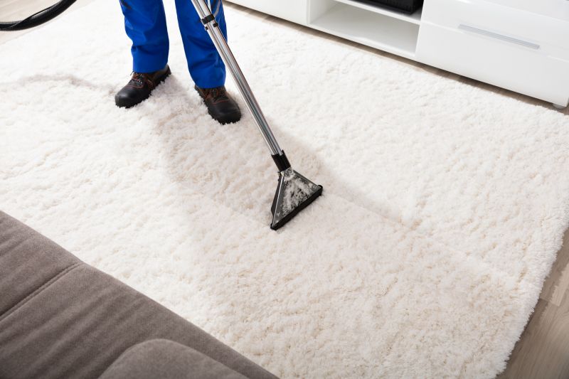 Common Carpet Stains And How Professionals Remove Them