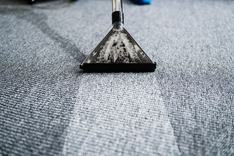 Carpet Sanitizing
