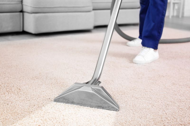 Carpet Sanitizing detail