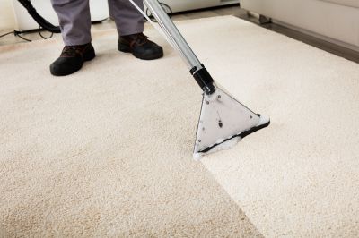 Carpet Sanitizing detail