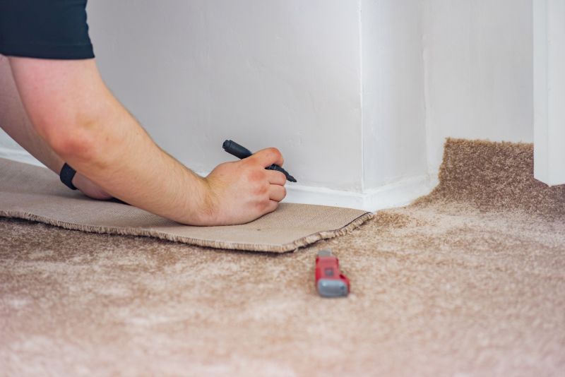 Pet Stain Carpet Repair in Kansas City, KS
