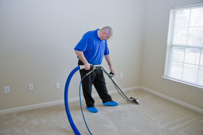 Removing Stains And Odors From Carpets And Rugs